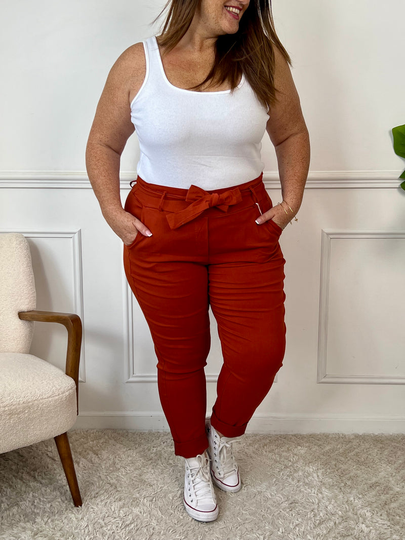 Pantalon terracotta Grande taille : Diego