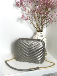 Silver bag: Dol