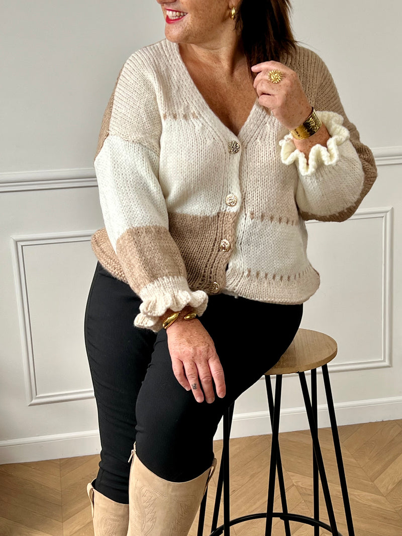 Ce gilet grande taille Milana allie élégance et confort grâce à sa maille douce et son col en V classique. Ses manches longues resserrées avec élastique assurent une tenue parfaite tout au long de la journée