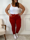 Pantalon terracotta Grande taille : Diego