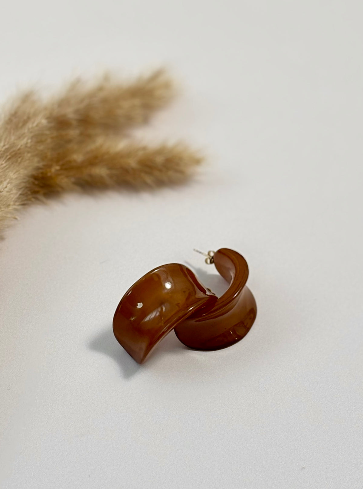 Boucles d'oreilles marrons