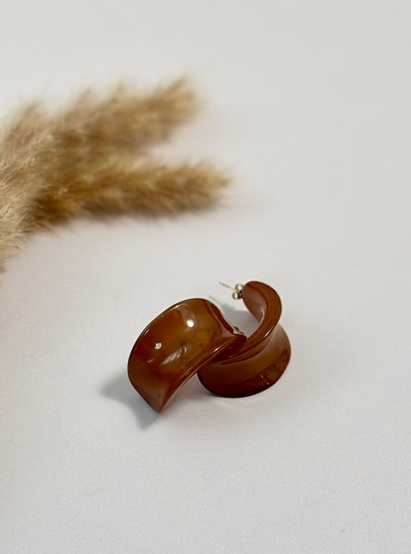 Boucles d'oreilles marrons