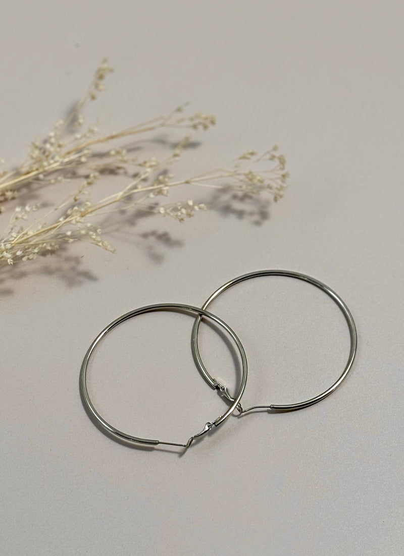 Boucles d’oreilles argentées : Aza