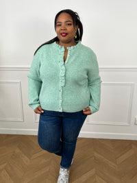 Le Gilet Alizee en vert d'eau allie élégance et confort. Manches longues, col rond et volants raffinés au col et sur la longueur créent une silhouette féminine et flatteuse. Boutons discrets sur toute la longueur. Une pièce polyvalente pour tous vos styles, pensée pour les grandes tailles.