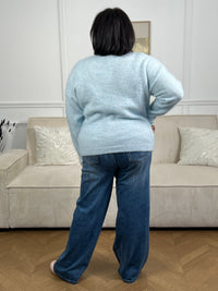 Confectionné en grande taille, ce pull bleu ciel séduira par son élégance intemporelle. Ses manches longues et son col V flatteront votre silhouette, tandis que les motifs floraux délicats ornant le col et les poignets ajoutent une touche de féminité. Le cœur brodé sur le devant, agrémenté de motifs floraux assortis, crée un détail charmant et personnel.&nbsp;