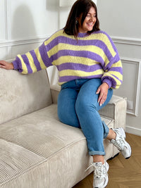 Craquez pour ce pull en laine grande taille femme, doux et confortable. Doté de manches longues et d’un col rond intemporel, il se distingue par ses rayures horizontales violettes et jaunes qui apportent une touche colorée et originale à vos tenues d’hiver.